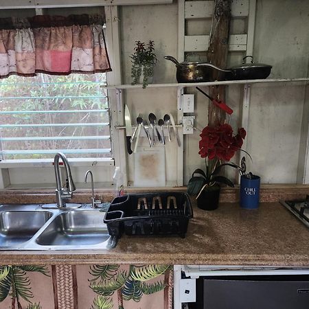 Cabin 2-Rustic Private Stay Near Volcano National Park Fern Forest Exterior foto