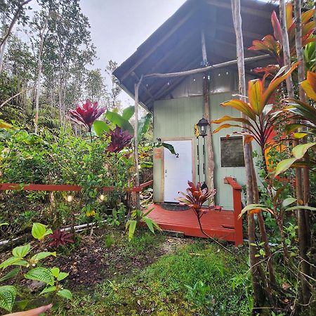 Cabin 2-Rustic Private Stay Near Volcano National Park Fern Forest Exterior foto
