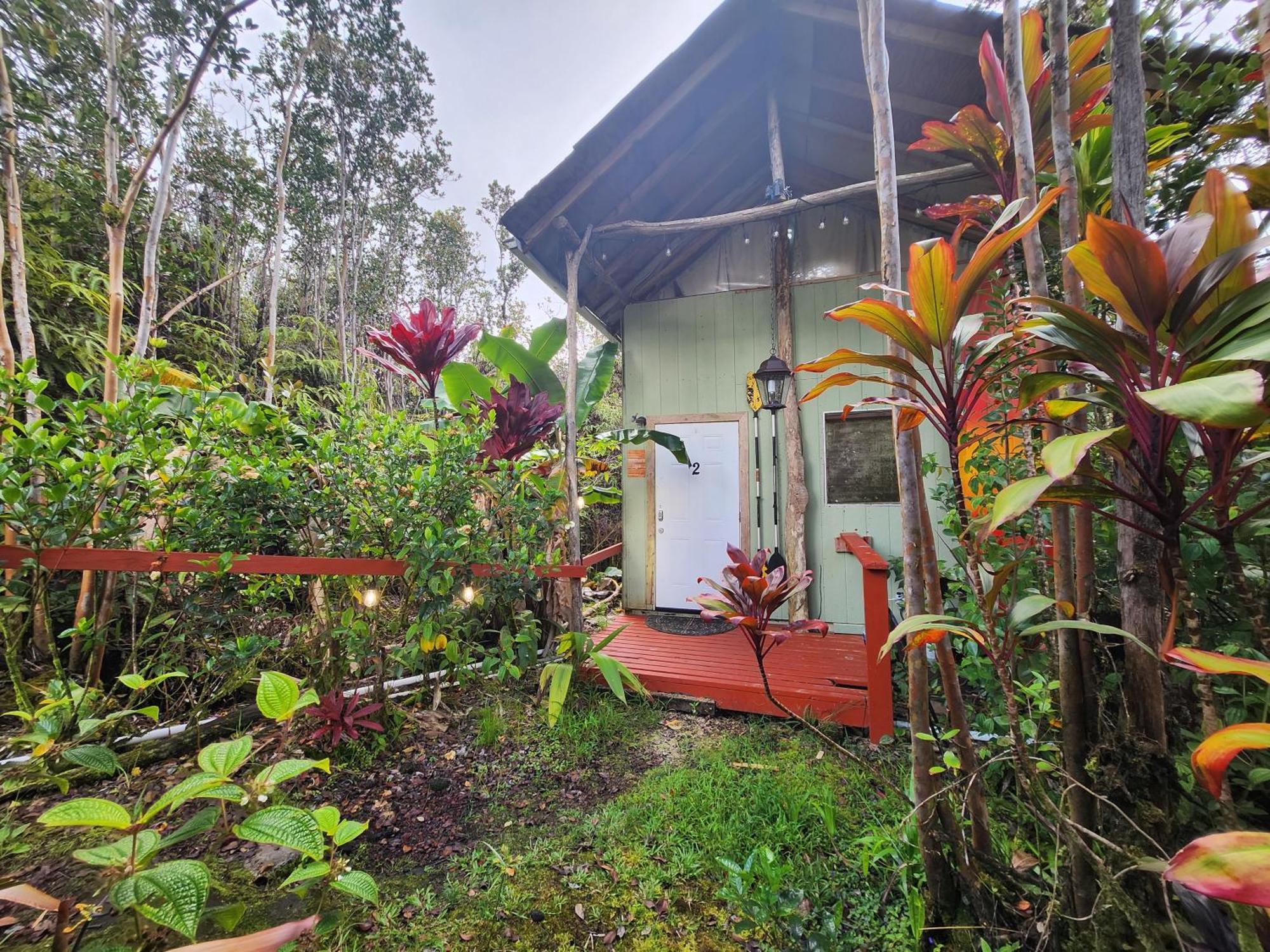 Cabin 2-Rustic Private Stay Near Volcano National Park Fern Forest Exterior foto